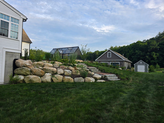 Looking for an Alternative to a Conventional Lawn? Here’s What We Use