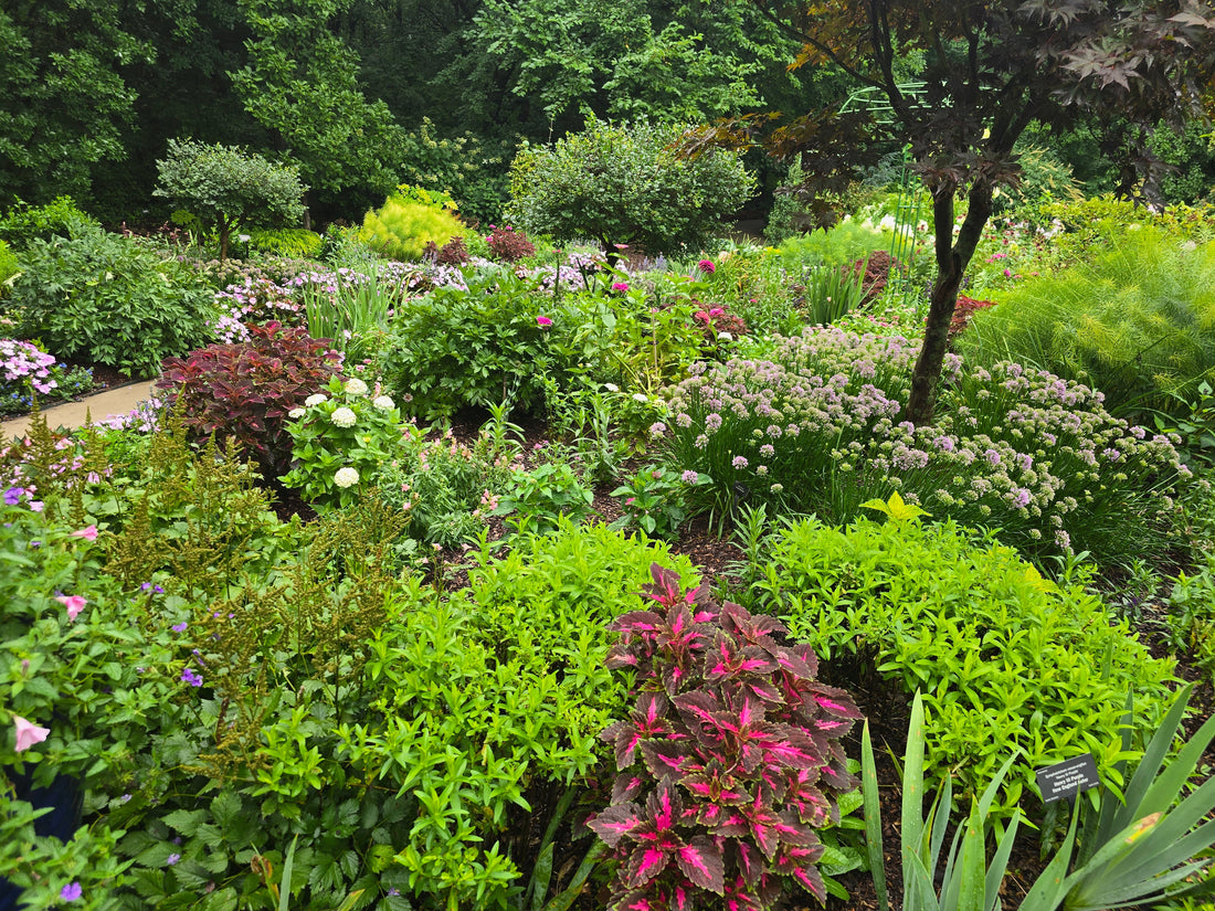 Garden Design Step Three: Turning Inspo Into Decisions