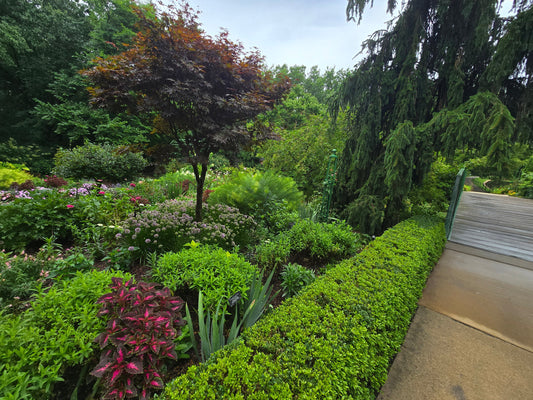 Garden Design Step Four: The Things Most People Forget