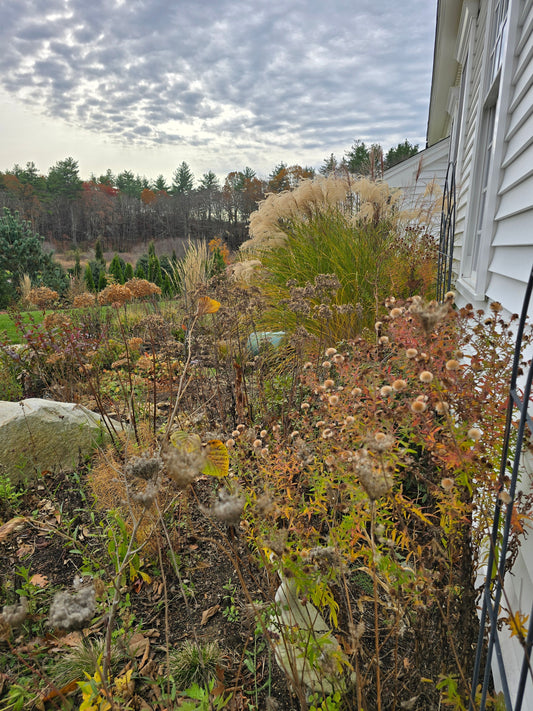 5 Rules for Fabulous Foundation Planting