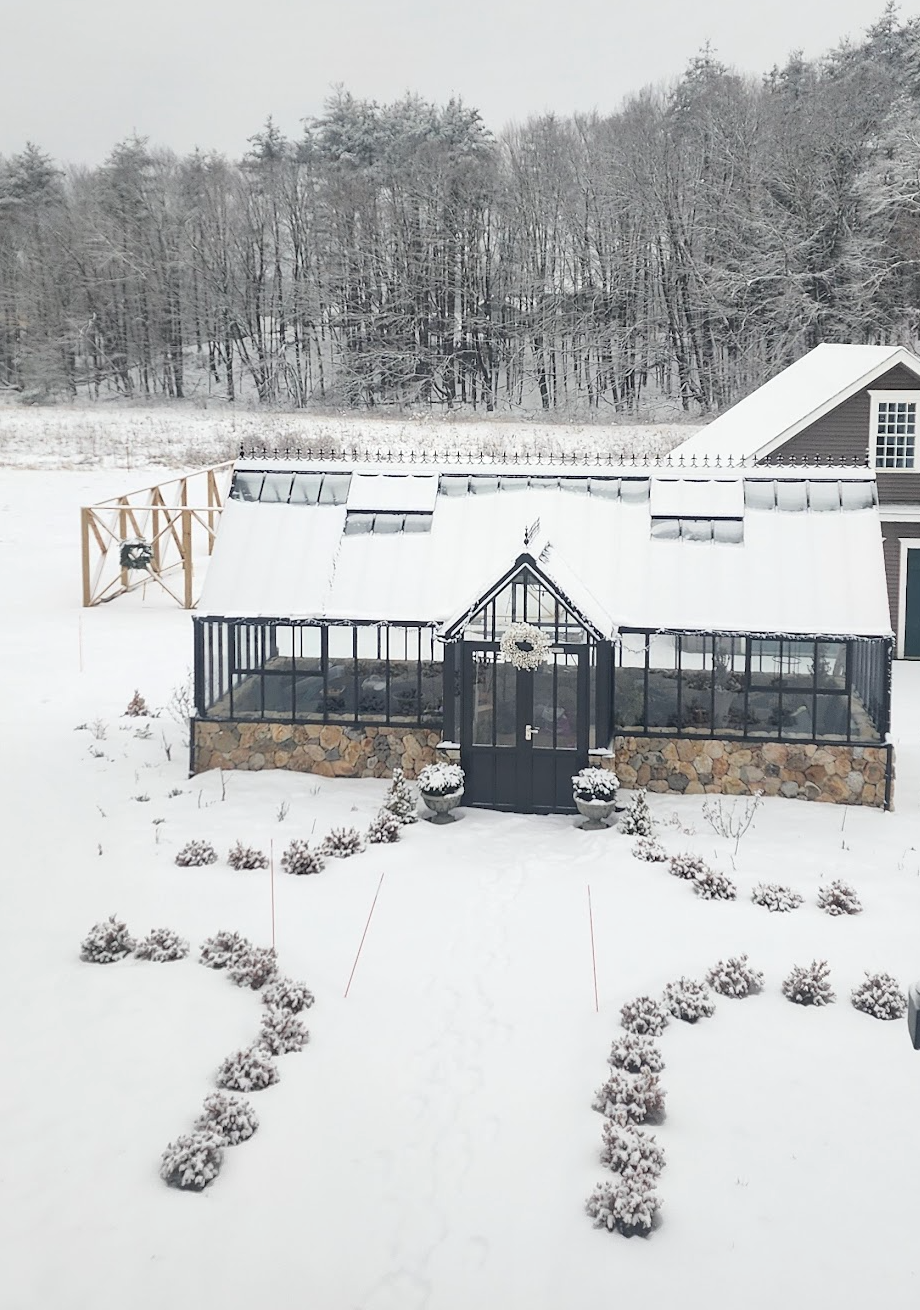 Garden Design Tips for Winter Interest
