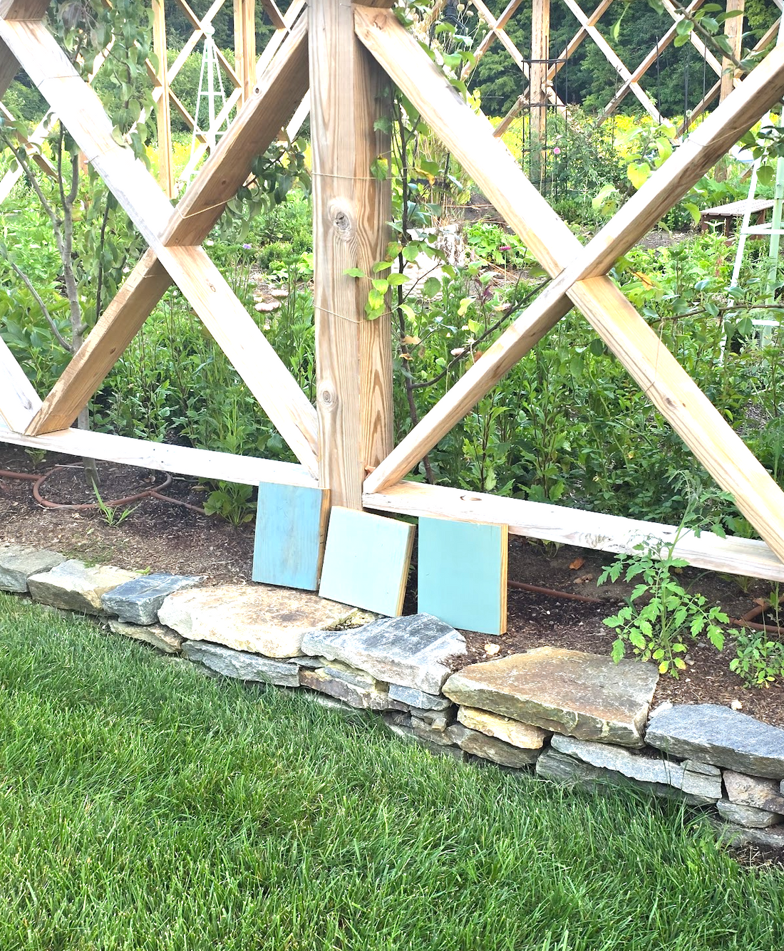 Before You Design a Garden, You Need to Observe