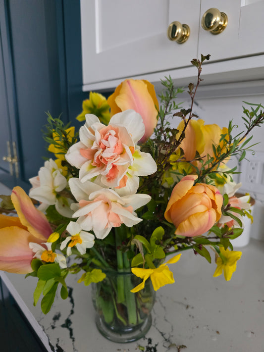 🌷 Specialty Tulip & Daffodil Season Pass