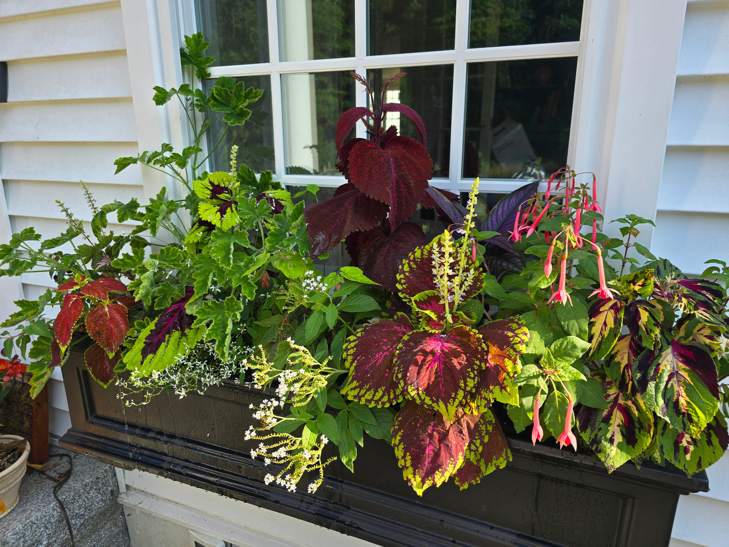 Seasonal Container Styling