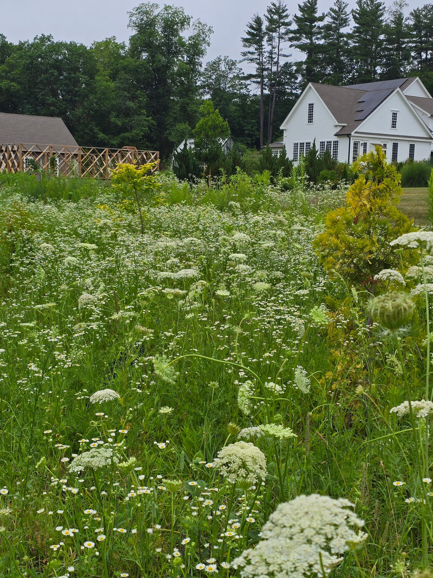 Private Garden Tour & Design Workshop at Scout Hill Farm