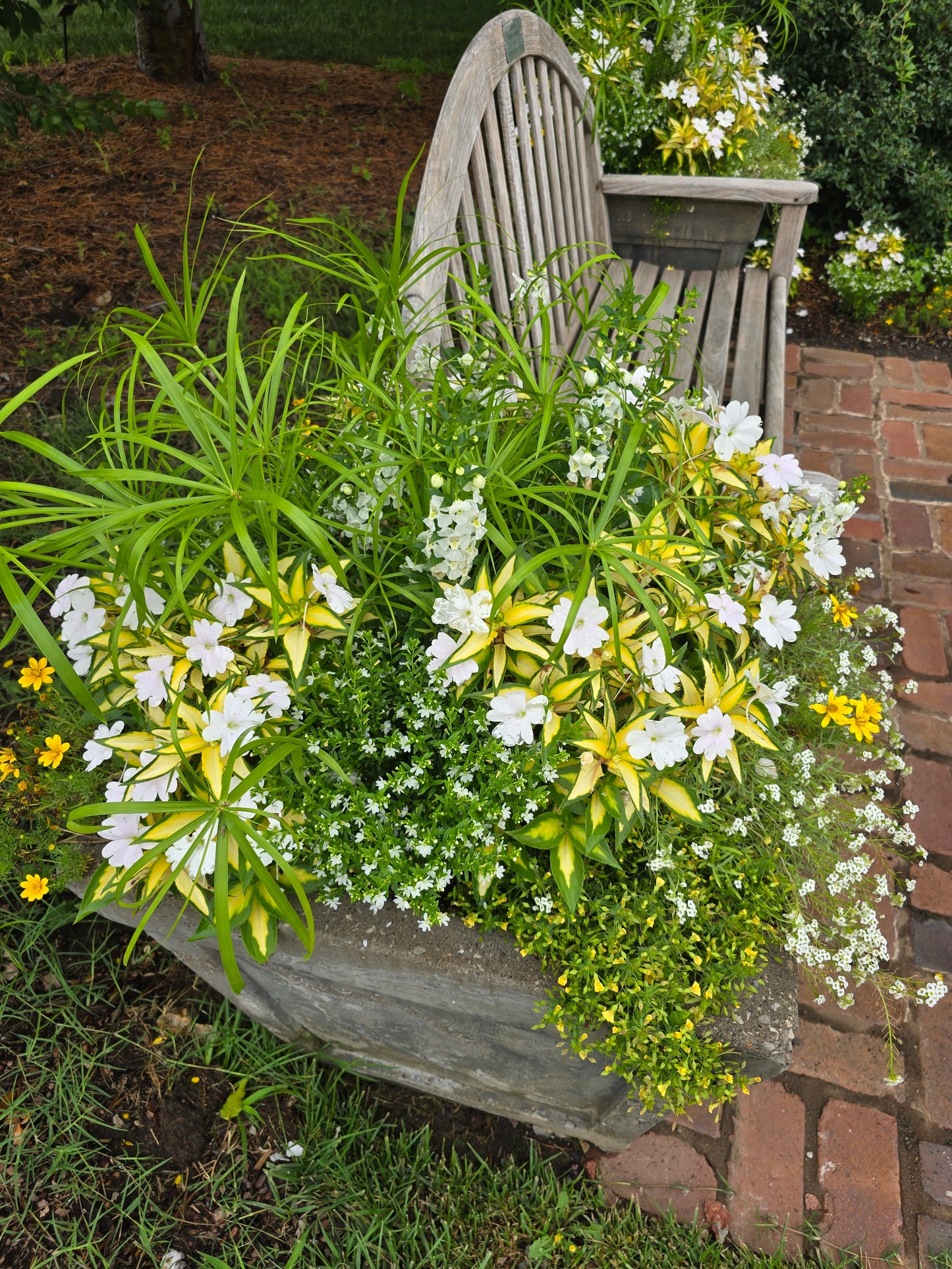 Seasonal Container Styling