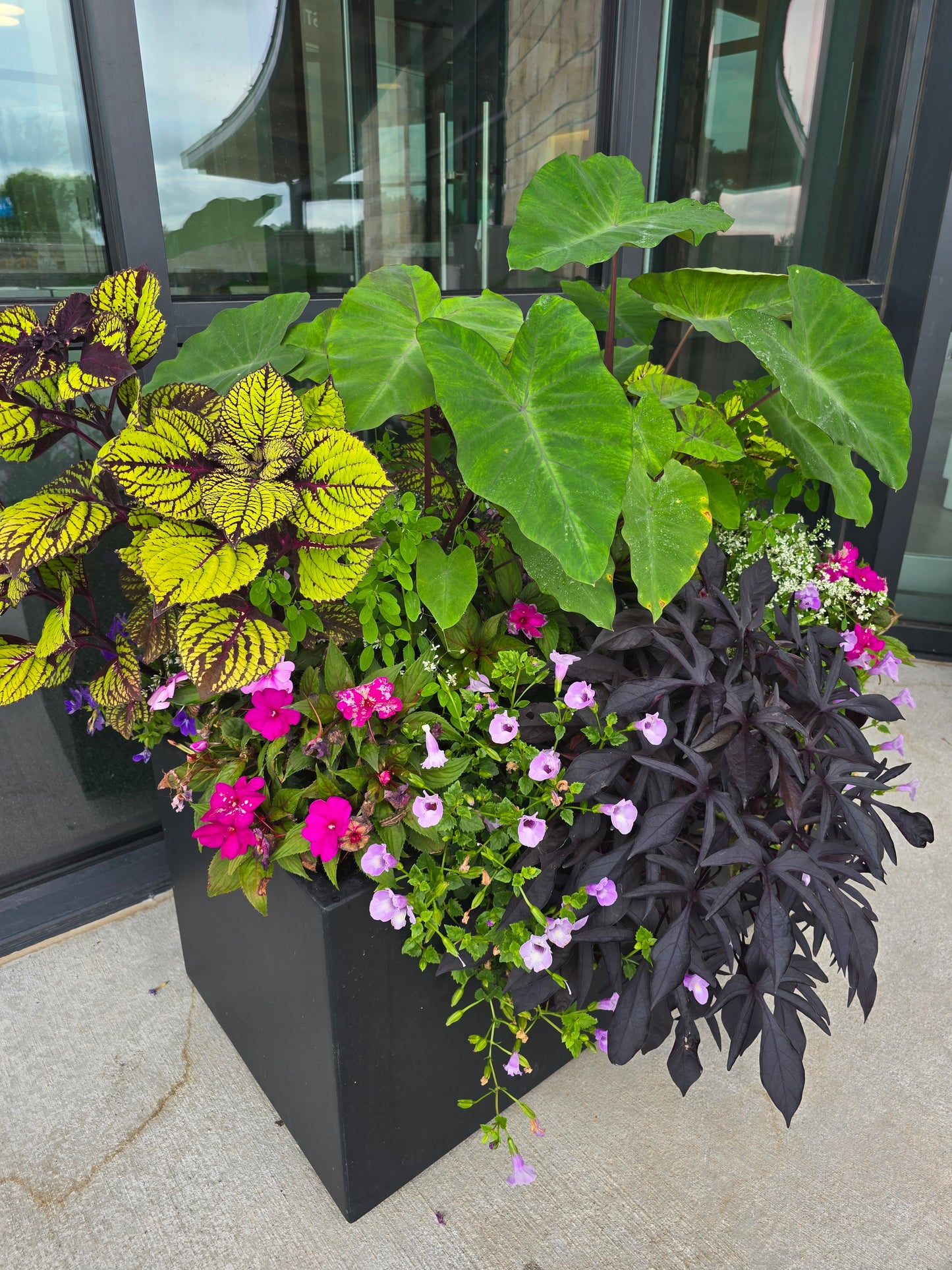 Seasonal Container Styling