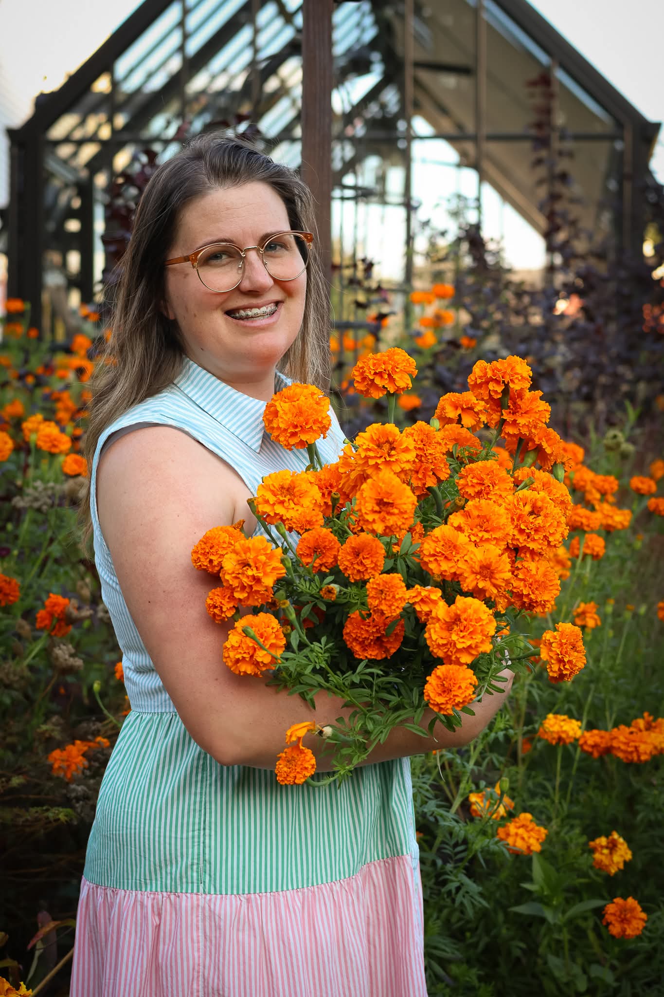 Giant Hawaii Marigold seeds (Organic)