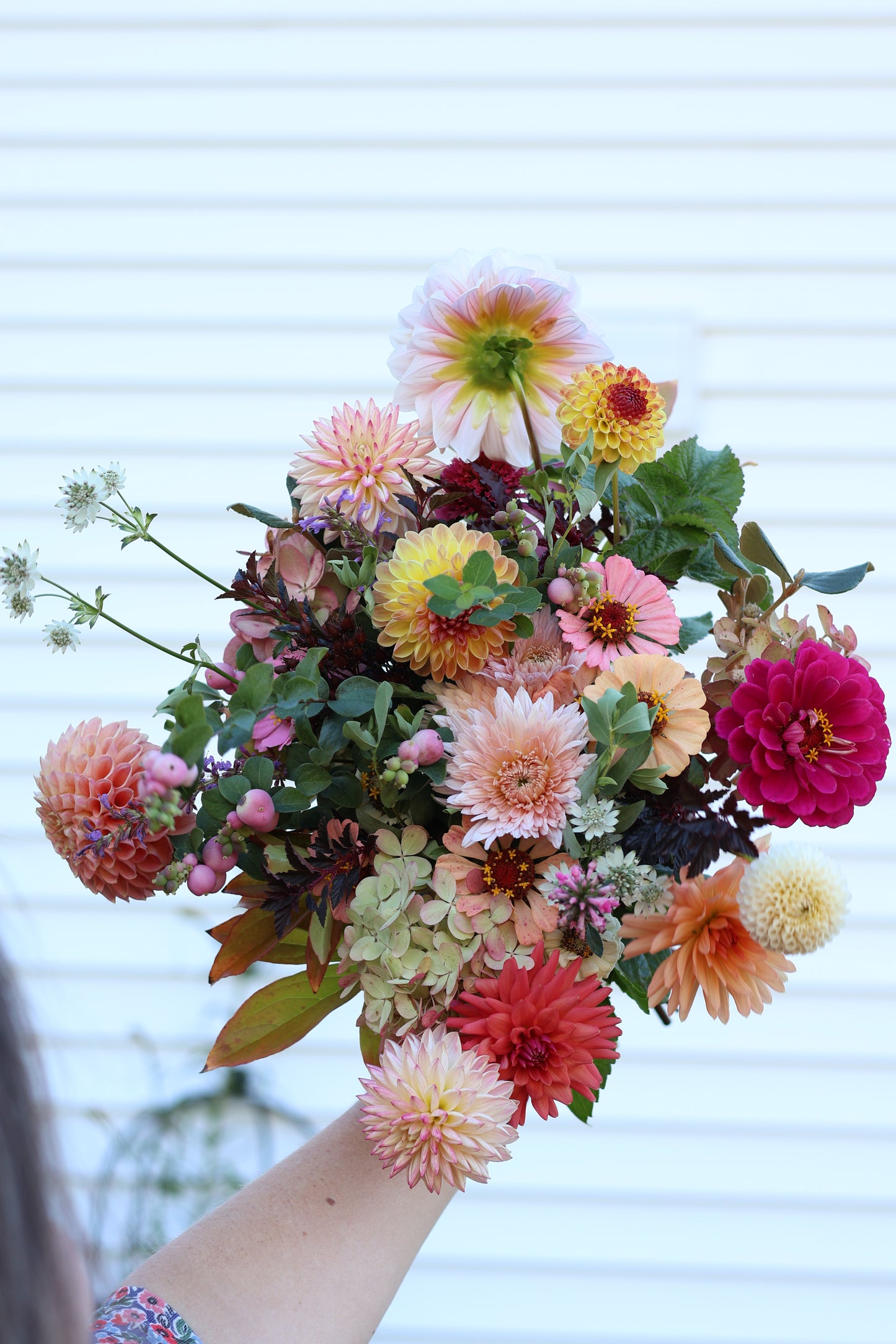 Dahlia Bouquets CSA (6 weeks)