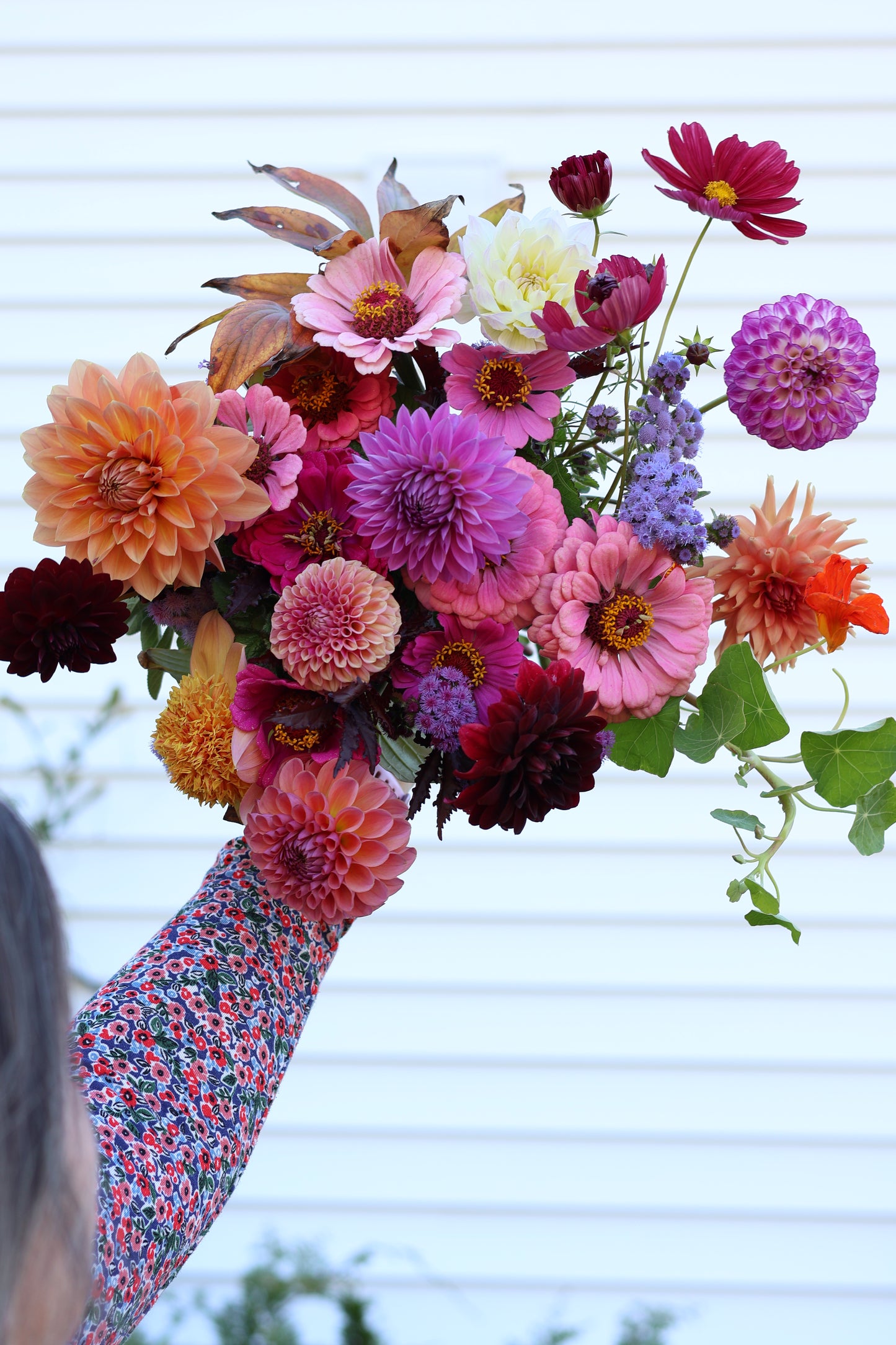 Dahlia Bouquets CSA (6 weeks)