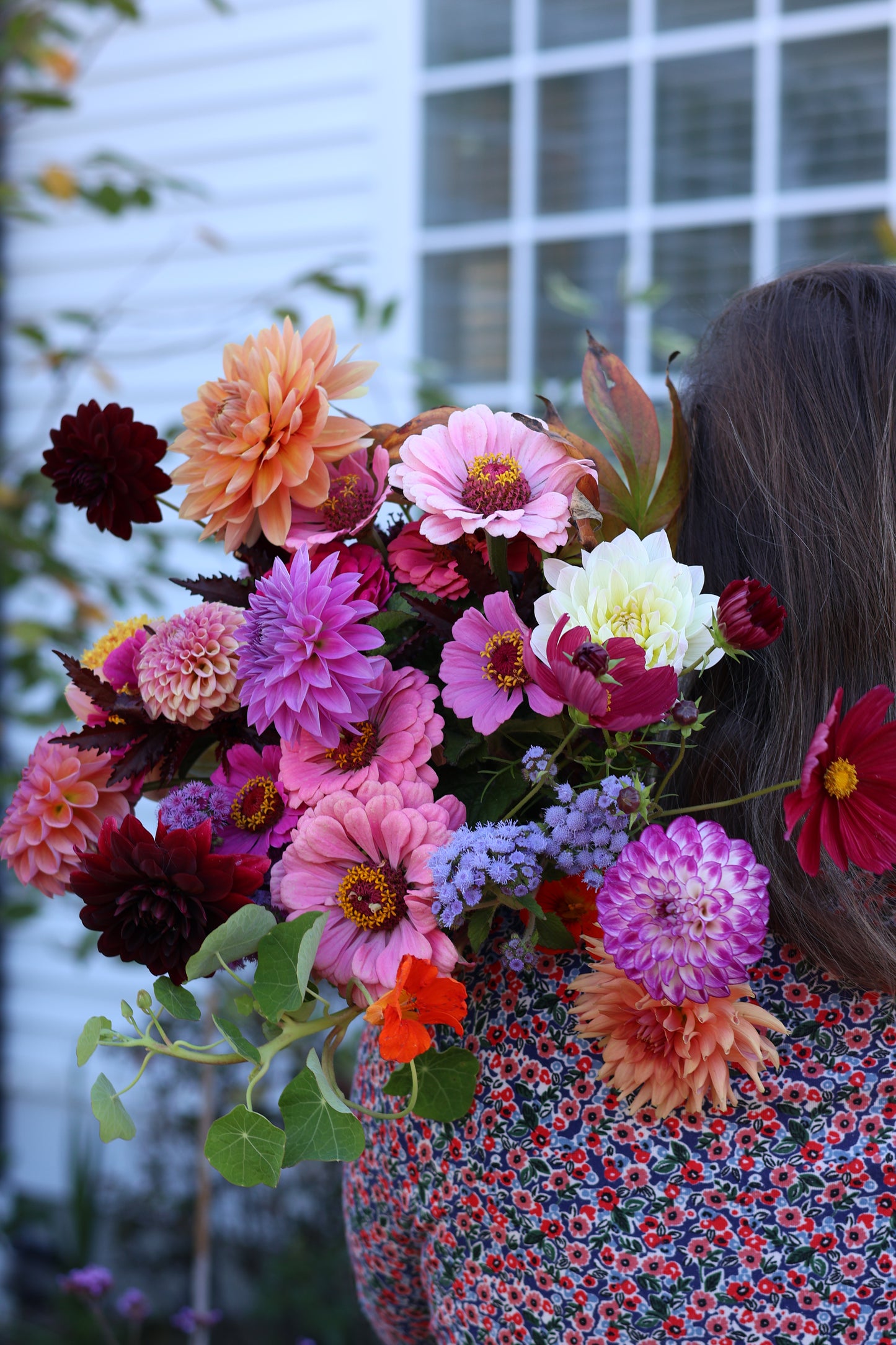 Dahlia Bouquets CSA (6 weeks)
