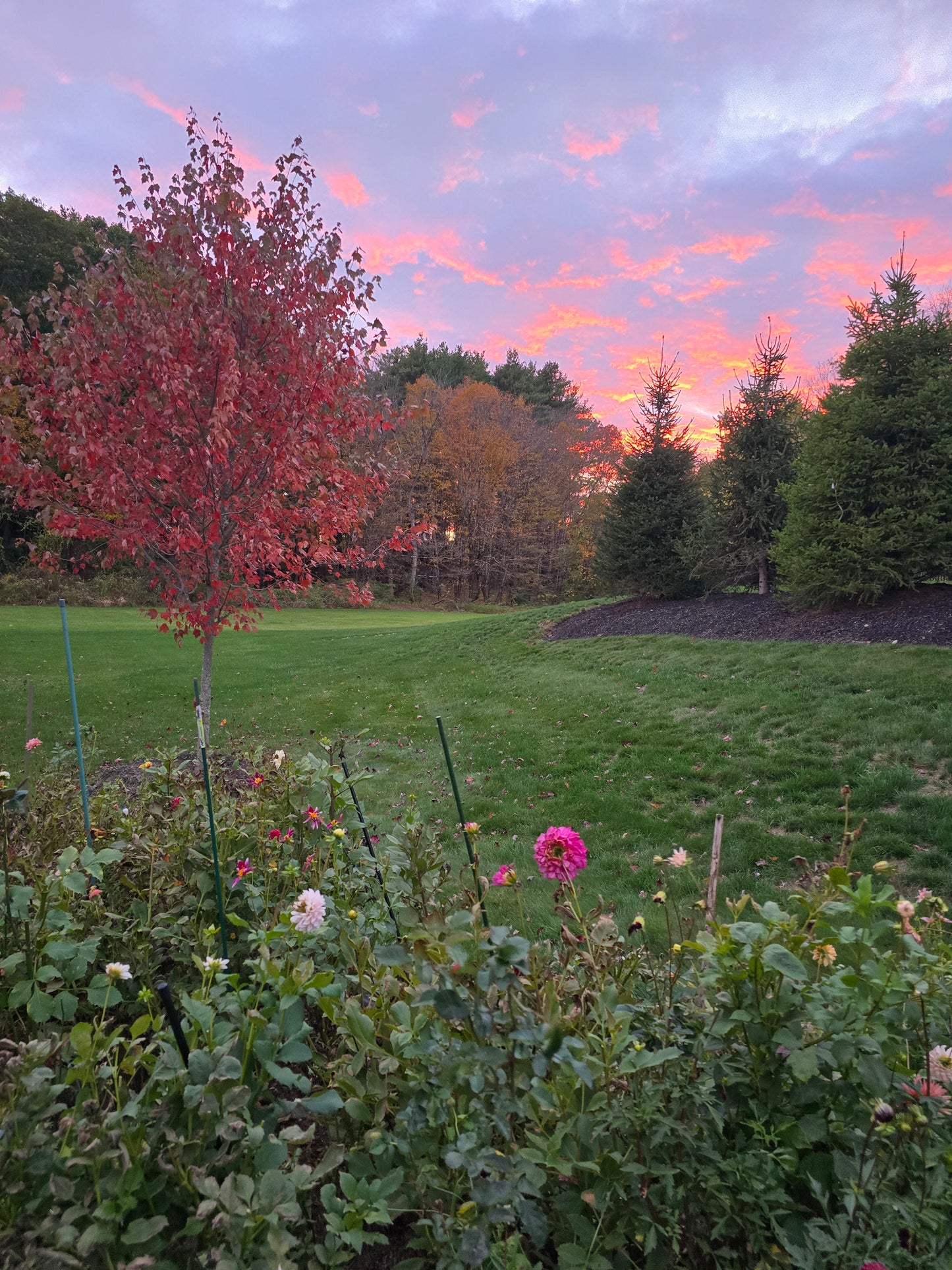 🌷 Design Your Dream Garden Workshop